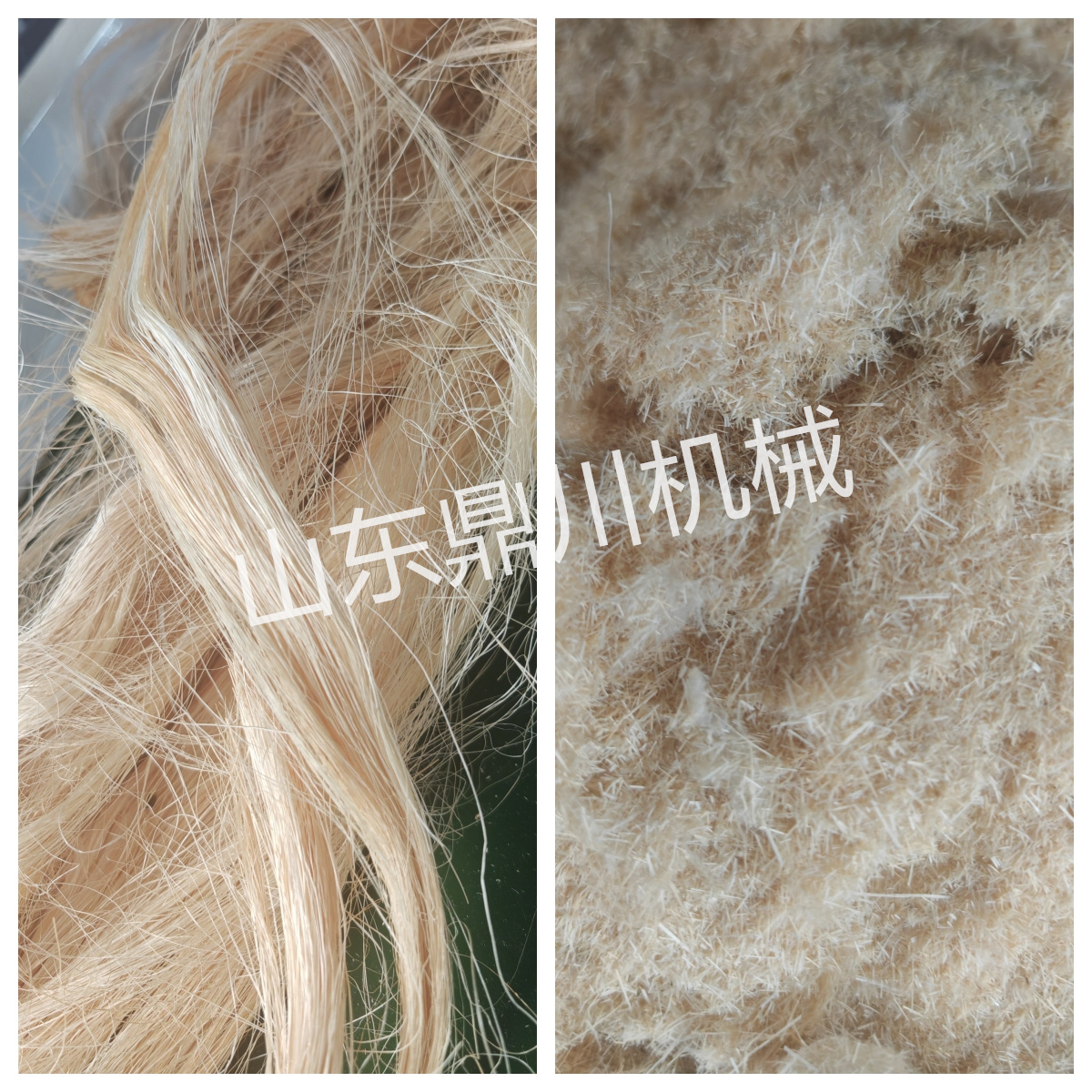 植物纖維絲切碎效果