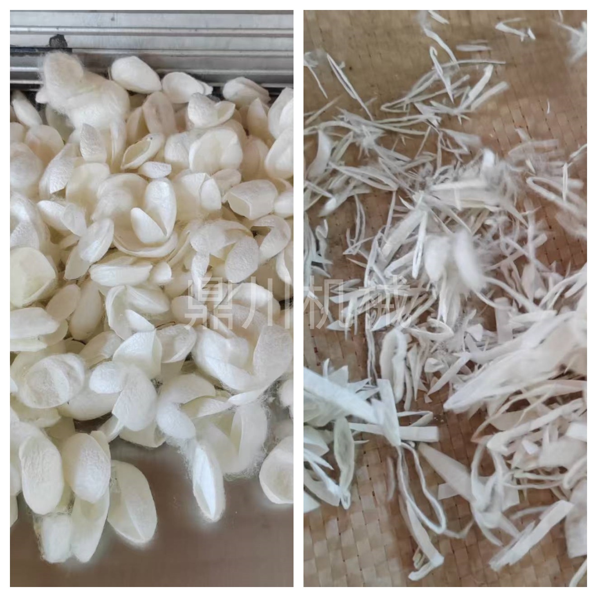 蠶繭殼切絲對比