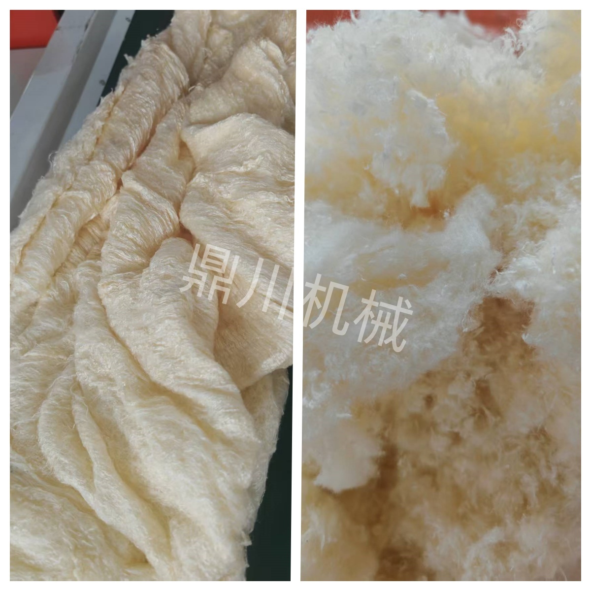 牛奶絨切斷對比